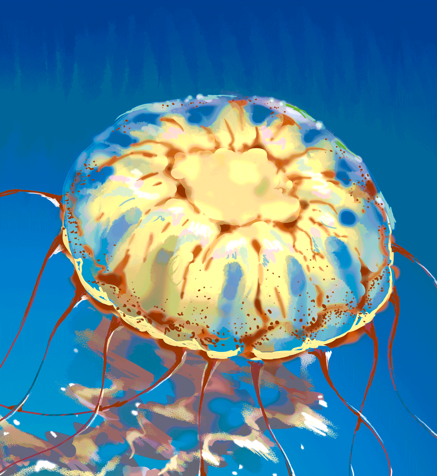 A series of jellyfish and deep sea animal illustrations.